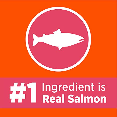 IAMS PROACTIVE HEALTH Adult Healthy Dry Cat Food with Salmon Cat Kibble, 7 lb. Bag - Image 5