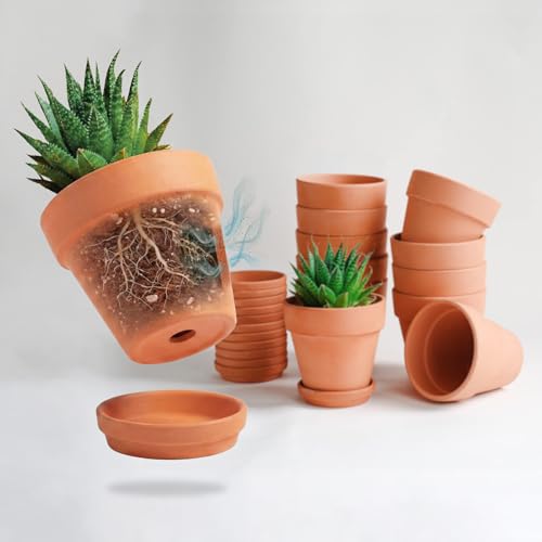 HERDUK Terracotta Starter Pots with Saucers 4 Inch Clay Planting System for Healthy Roots Reliable Drainage & Indoor Growing Ideal for Succulents Seedlings & Small Spaces