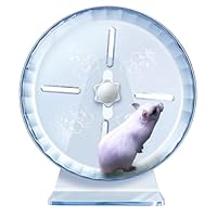 Hamsterrad,Silent Hamster Rad,Silent Wheel,Ruhiges Hamster Rad,Super-Silent Hamster Übungsrad,Einstellbarer Stand Silent Hamster Rad für Hamster,Mäuse,Kleintiere (L Ø21cm, Transparent)
