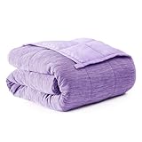 Drewin Kids Weighted Blankets 5lbs, Super Soft Weighted Blanket Kids for All Season, Cozy Sofa Bed Blanket for Sleep Natural and Relaxing, Cool Toddler Weighted Blanket 41 x 60 inches, Purple