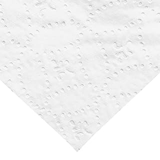 AmazonCommercial FSC certified paper 2-Ply White Quick Dispensing Toilet Paper for RV's & Marine, Waste-Tank Compatible, 300 Sheets per Roll - 24 Rolls