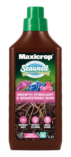 Maxicrop PPSI61L Sequestered Iron 1L - Iron Infused Natural Seaweed Extract - Protects Against Yellowing - Supports Growth In Difficult Soil Conditions - Plant Nutrition Blue