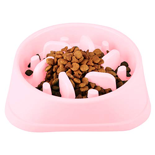 CAM2 Gamelle pour chien et chat, non toxique et respectueux de l'environnement, rose Cover