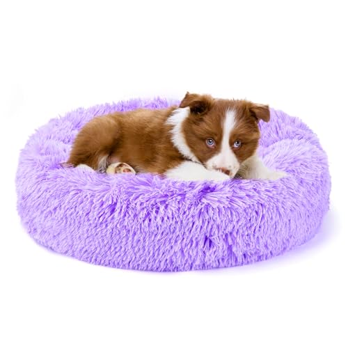 STAERTME ybgNbV Lxbh xbh LNbV ybgxbh ybgnEX ی`  ӂӂ ``  LpQ 􂦂 ybgxbg ^ ^ xbg L ėp ʋC悢 XNGA^ _炩 ӂӂ 