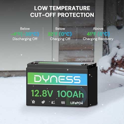 Image of Dyness 12V 100Ah LiFePO4 Lithium Battery BCI Group 31 with Low-Temp Protection, A+ Grade Cell Built-in 100A BMS, 12.8 Volt Lithium Battery Perfect for RV, Solar System, Off-Grid, Home Energy Storage