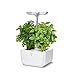 Produktbild Véritable Indoor-Garten Exky® SMART (Arctic White) Kompakter und autonomer intelligenter Garten mit Adapt-Light-Technologie - Mit 2 Lingots®