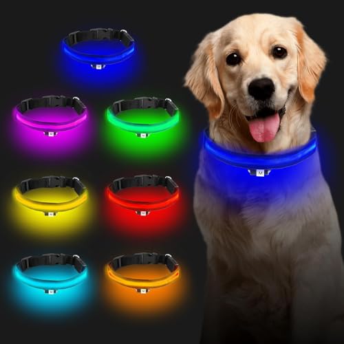Collier Lumineux LED pour Chien, Rechargeable USB, imperméable, 7 Couleurs, réglable Taille M 40-50 cm, Collier de sécurité pour Promenade Nocturne