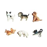 Dollhouse Family Set Pretend Play Figures Family Role Play Mini Animal Figure People Pet Dog Cat Figures for 1:12 1:6 Scale Doll House Office Home Desk Decoration (5 Mini Plastic Dogs and 1 cat)