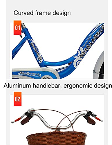 Triciclo para Adultos 20 Pulgadas con Canasta miniatura 3