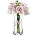 UNISHOP Jarrón de Flores de Cristal, Florero de Vidrio de 26,5cm de Alto, Elegante y Sofisticado