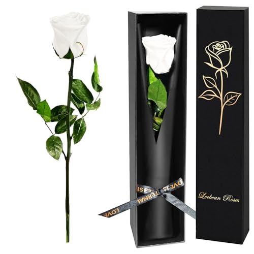 Single Forever Roses Luxury Gift for Women/Men, Birthday Gifts for Women,Flowers Gifts for Girlfriend,Wife,Mom,Anniversary,Valentine's Day,Wedding,Graduation,Presents for Her,Red