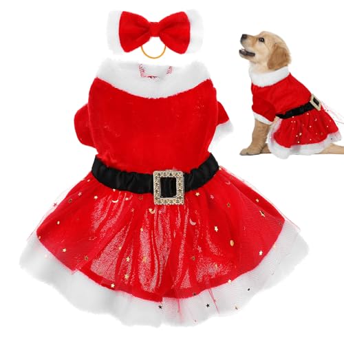 GLEAVI pNX}XhX T^RX`[ {tZbg ^pzf[ߑ NX}Xp[eB[ybgRXv 1Set