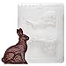 Cybrtrayd Life of the Party E062 Medium Sitting Bunny Easter Chocolate Candy Mold in Sealed Protective Poly Bag Imprinted with Copyrighted Cybrtrayd Molding Instructions