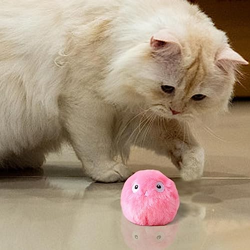 Bola brinquedo para gatos - Brinquedos fofos pelúcia para gatos para gatos internos | Bola colorida