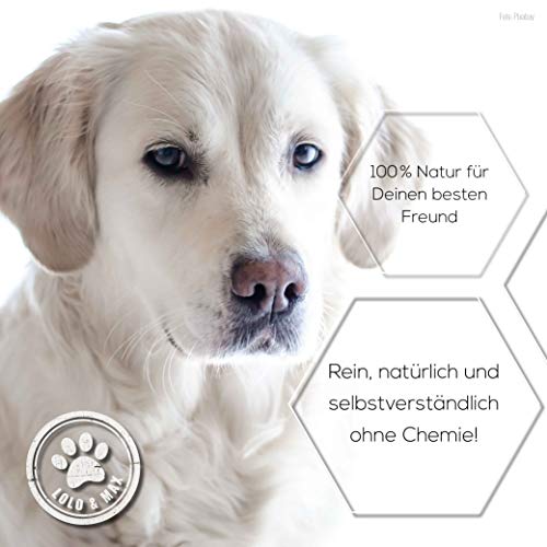 Lolo & Max - Floh- & Zeckenmittel für Hunde 100% Natürlicher Spot On - Bis zu 8 Monate Abwehr & Bekämpfung von Flöhen & Anderen Parasiten (Zecken,Milben,Läuse,Haarlinge,Wanzen) - 40ml