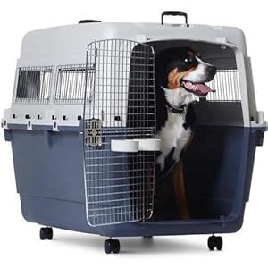 PETARCHI DESIGN STUDIO FOR PETS 48″ Heavy Duty Dog Travel Carrier Flight Crate For Dogs Iata Compliant Airline Approved Dog Crate Pet Travel Kennel – White & Grey (48 Inches, L X 32″ W X 35″ H)
