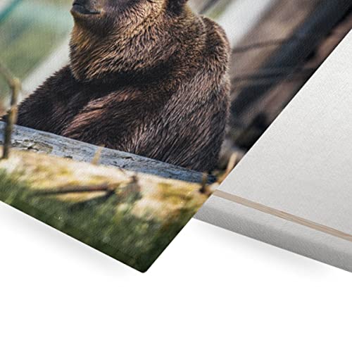Toile imprimee ours brun grizzly poster grand format foret
