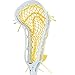 StringKing Women’s Mark 2 Offense Lacrosse Head Strung with Women's Type 4 Mesh (White/Yellow)