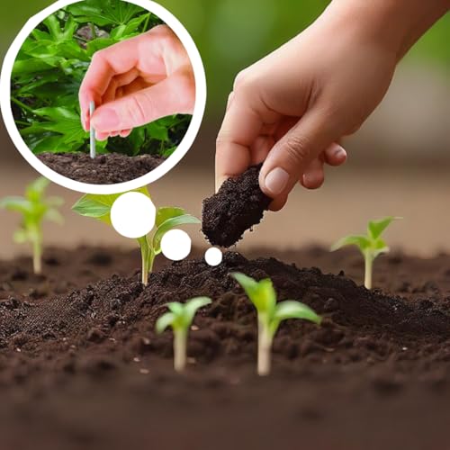 Image of Plant Food Sticks for Indoor and Outdoor Plants| Plant Food for plant growth and healthy flower and fruits| Plant Growth Booster| Healthy & Nutrisious Sticks For Plant || (Pack of 60)