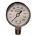 Dixon Valve GS15-4, 0-15 PSI ABS Standard Dry Gauge Lower Mount (Pack of 10 pcs)