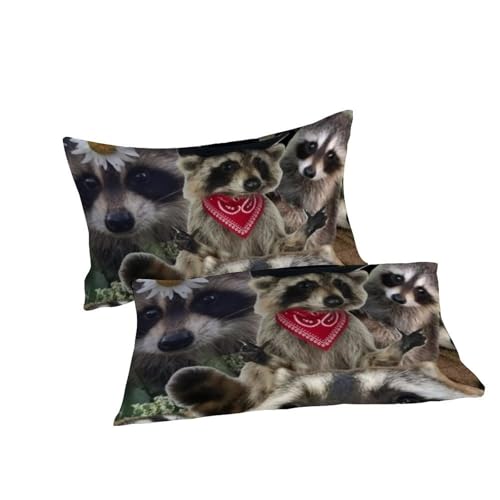 Housse de couette raton laveur imprimé 3D en microfibre premium de 220x240 - 7