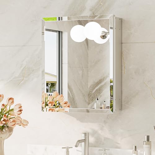 TokeShimi 14 x 18 Recessed Medicine Cabinet with Mirror Assembly Required Silver Medicine Cabinet for Bathroom Tempered Beveled Mirror Stepless Adjustable Shelves DTC Hinge