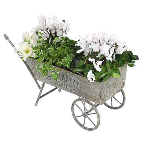 Vintage Small Flower Cart Wagon Planter Metal Decorative Wheelbarrow Planters for Indoor and Outdoor Plants Garden Planter with Wheels Rustic Garden Decor Gray 65 D x 151 W