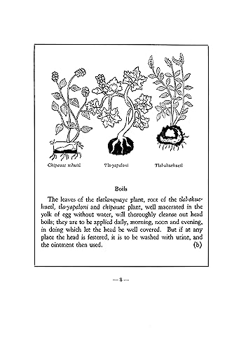 An Aztec Herbal: The Classic Codex of 1552 - Image 5