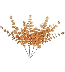 F:4pcs 31" Tall Orange Eucalyptus