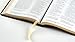 Holy Bible, NRSVue with Apocrypha, Personal Edition