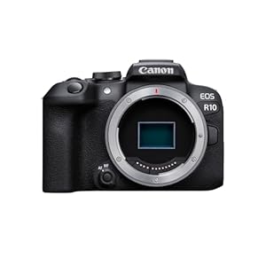 Canon EOS R10 camera spiegelloos (hybride camera, DSLR upgrade, 15 B/s, 4K video’s, Dual Pixel CMOS AF II focusysteem, WLAN) zwart