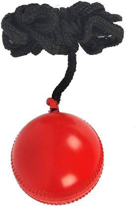 Hanging Knocking Hard Plastic Ball Cricket Synthetic Ball (Pack of 1)-image-18