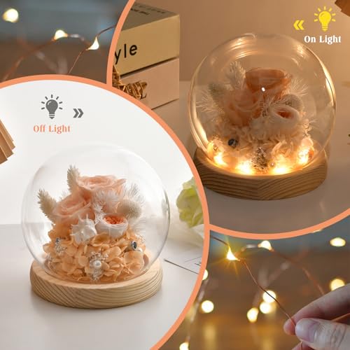 Valentines-Gifts-for-Her-Preserved-Real-Rose-in-Glass-Dome-with-LED-Light-Gifts-Idea-for-Women-Wife-Mom-Grandma-on-Anniversary-Birthday-Mothers-Day-Thanksgiving-Christmas-Sweet-Gifts Valentines Gifts for Her Preserved Real Rose in Glass Dome with LED Light Gifts Idea for Women Wife Mom Grandma on Anniversary Birthday Mothers Day Thanksgiving Christmas Sweet Gifts