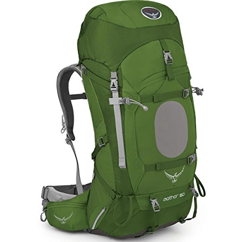 Osprey Men's Aether 60 Backpack, Bonsai Green, Small