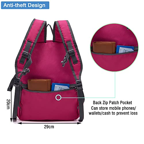 Hiking Backpack 20L Packable Packable Lightweight Day Pack for Women & Men - image 4