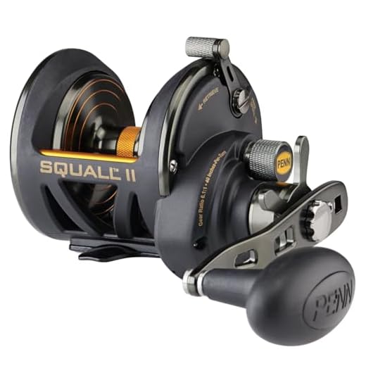 PENN Fishing Penn Squall II Star Drag Conventional Fishing Reel, Black Gold (SQLII25NSDLH)
