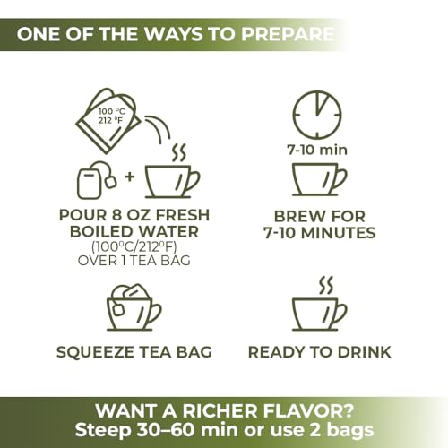 Image of 30 Bags Dried Mistletoe Herb Tea (Viscum) - 30 Count 1.5g Tea Bags Mistletoe Herb Muerdago