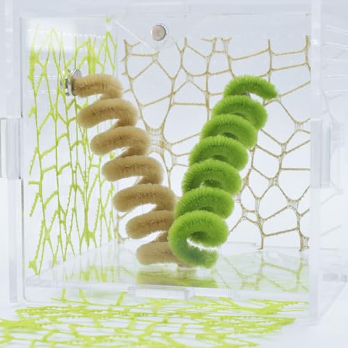 Image of 8PCS Jumping Spider Enclosure Accessories, Jumping Spider Web with Magnets, Jumping Spider Accessories Climbing Toy, Jumping Spider Enclosure Decor (Green and Khaki)