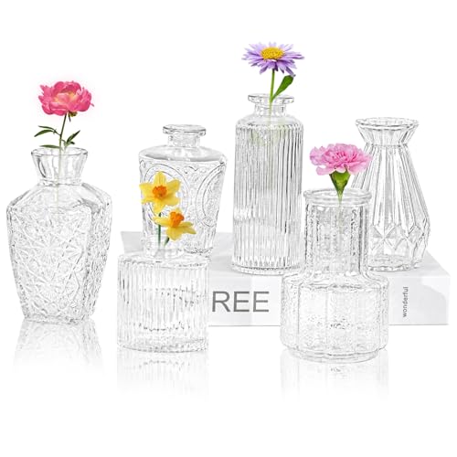 6Pcs Glass Bud Vase Set Small Flower Vase for Tables Centerpieces Decor Mini Vintage Clear Vase for Home Wedding Party Decorations