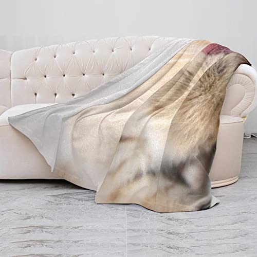 Couverture en microfibre chat charmant, le cadeau idéal chaud et doux