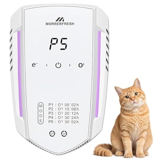 Morrerfresh Geruchsvernichter für das Zuhause