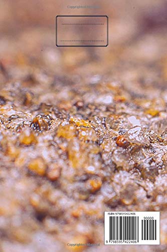 Ant: This notebook is for ant lovers - Image 2