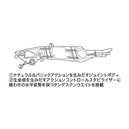 DUO(デュオ) レアリス マイクロドン88Sライブリーアユ 2枚目