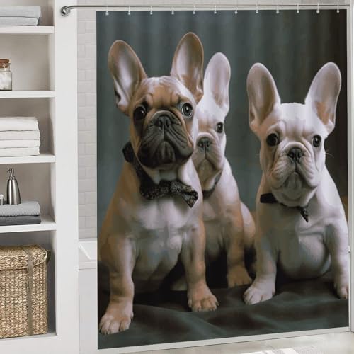 Rideaux de douche bouledogue français : ensemble haut de gamme tapis de bain chic - 6