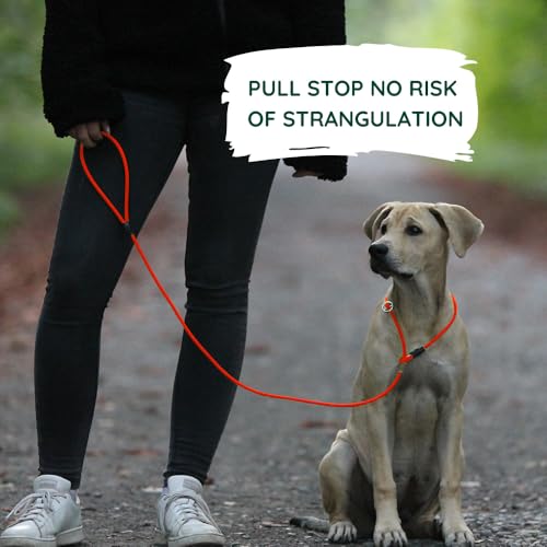 Romneys Moxon-Leine Biothane Neon Pro – handgefertigt in Deutschland, wasserfeste Trainings- & Jagdleine in Neon, robust & wetterfest, Länge 130 cm x 6 mm (Neon-Orange)