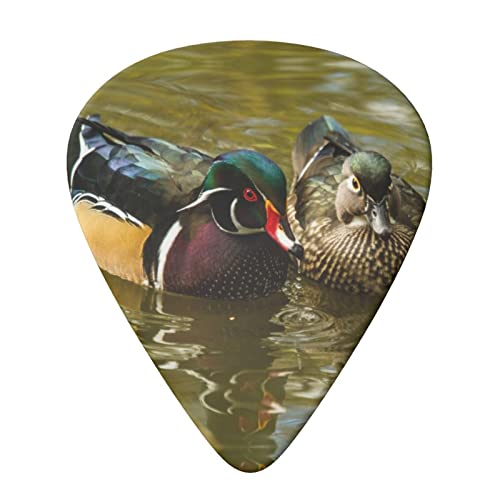 Domestic Duck Lot de 6 médiators pour guitare acoustique, guitare électrique, basse, ukulélé – fins, moyens et épais. - Les Beatles, Paul McCartney, John Lennon, RIngo Starr, George Harrison Domestic Duck Lot de 6 médiators pour guitare acoustique, guitare électrique, basse, ukulélé – fins, moyens et épais. – Image 4