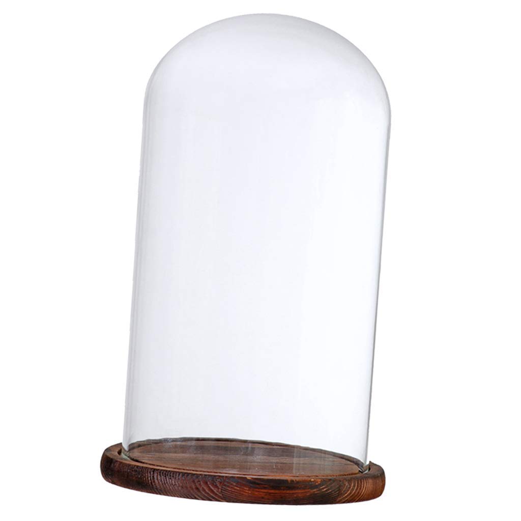 Cloche En Verre Transparent Tubayia Avec Socle En Bois - Dôme Décoratif Pour Mariage, Noël Et Décoration Intérieure