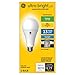 GE Lighting 272395 23W Ultra Bright LED Light Bulb - A21 DL