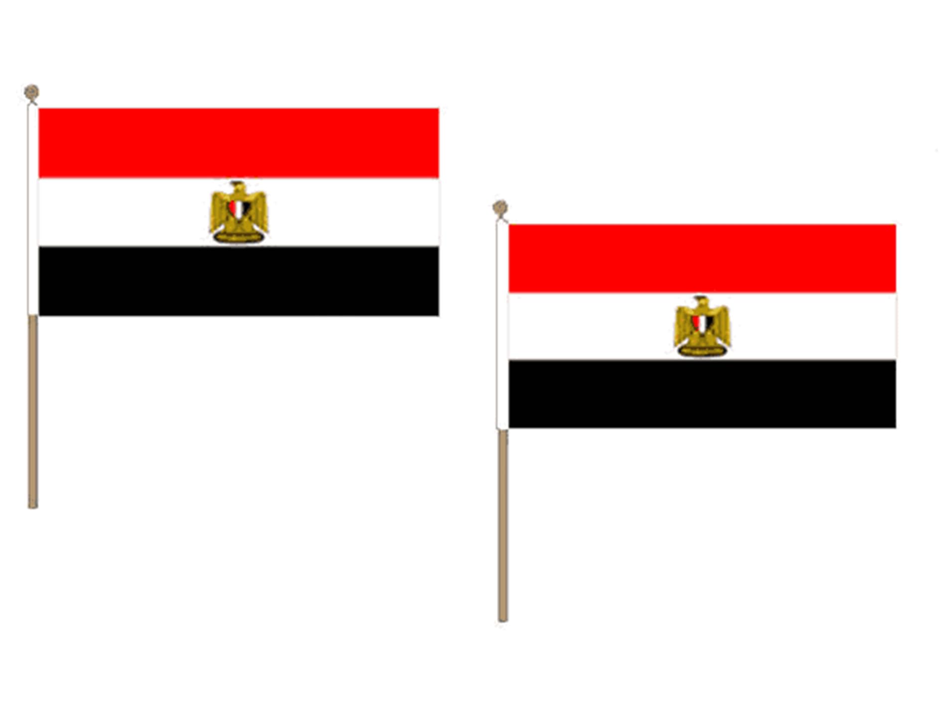 Drapeau Egypte 45x30cm avec hampe en bois par lot de 10 pièces AZ FLAG