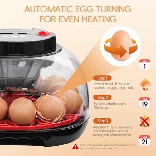 12 Egg Incubator with Automatic Turning, Humidity Control, LED Egg Candler, and Auto Water Addition, for Hatching Chicken, Goose, Duck, Quail, Pigeon (12 Egg Incubator Pro) - Image 4